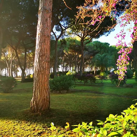 Vicino A Chia, Villino Fronte Mare 100m Fox E Sali-monte Agumu